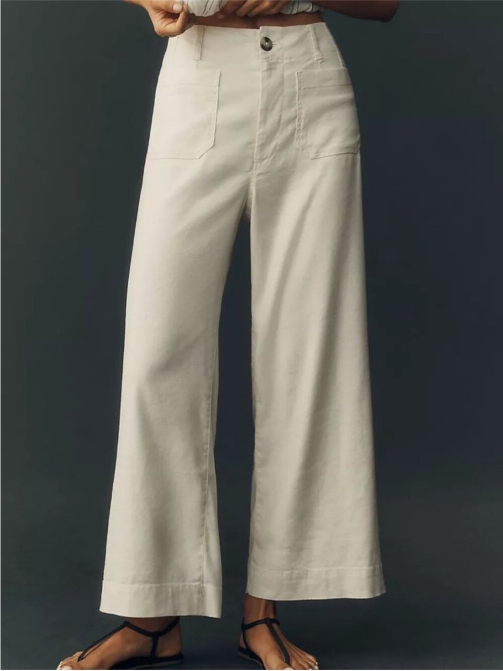 Anthropologie Maeve Colette Linen Stretch High-Rise Wide-Leg Pants size 29